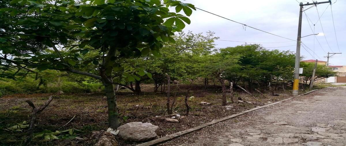 Foto de terreno habitacional en . , lomas de mactumatza, tuxtla gutiérrez, chiapas, 28187888 foto 04 Foto de terreno habitacional en venta en . , lomas de mactumatza, tuxtla gutiérrez, chiapas, 28187888 No. 04