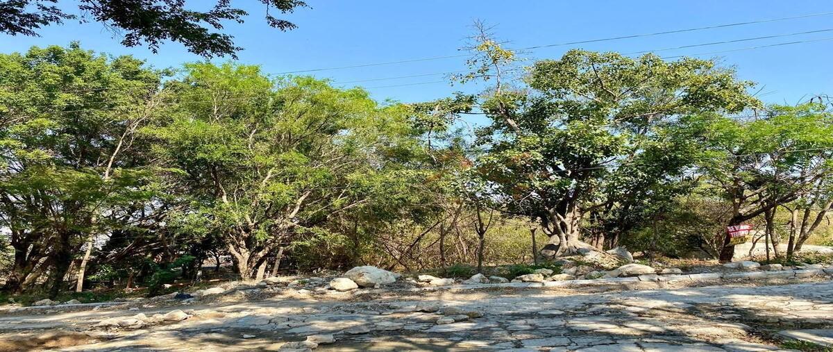 Foto de terreno habitacional en . , lomas de mactumatza, tuxtla gutiérrez, chiapas, 28187888 foto 05 Foto de terreno habitacional en venta en . , lomas de mactumatza, tuxtla gutiérrez, chiapas, 28187888 No. 05
