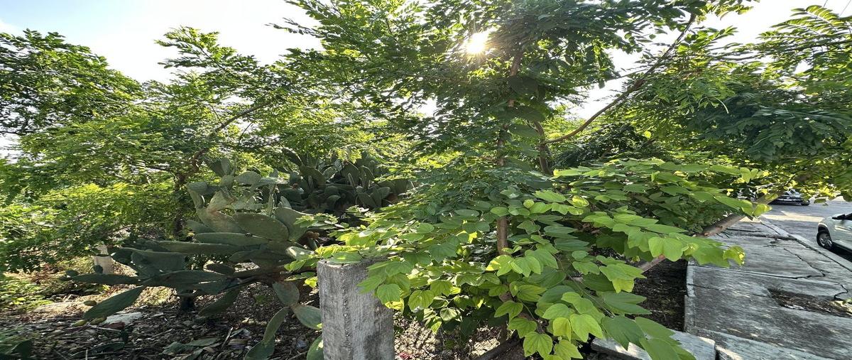 Foto de terreno habitacional en venta en  , lomas de mactumatza, tuxtla gutiérrez, chiapas, 30177619 No. 03