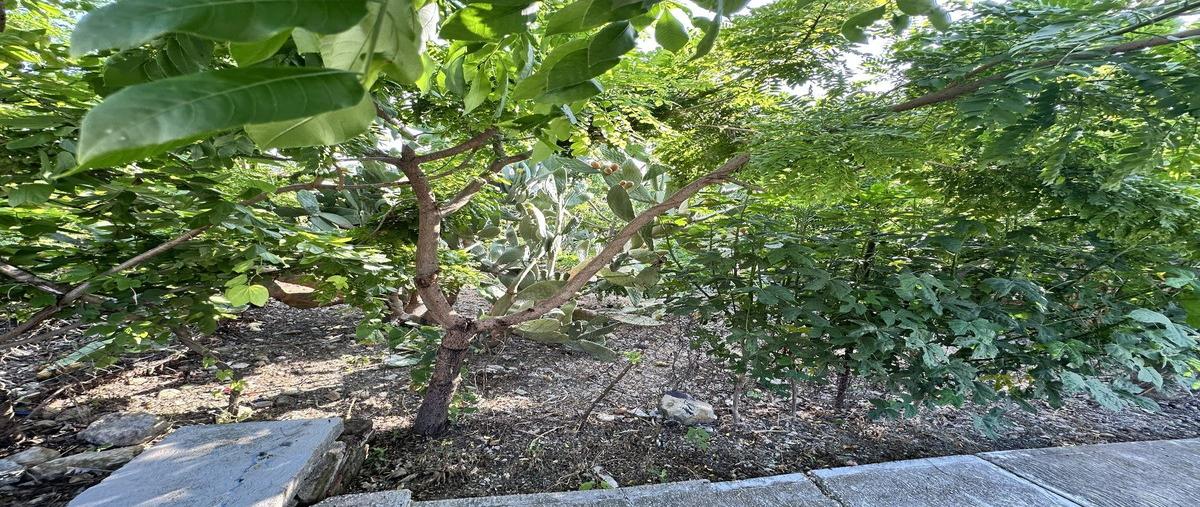 Foto de terreno habitacional en venta en  , lomas de mactumatza, tuxtla gutiérrez, chiapas, 30177619 No. 04