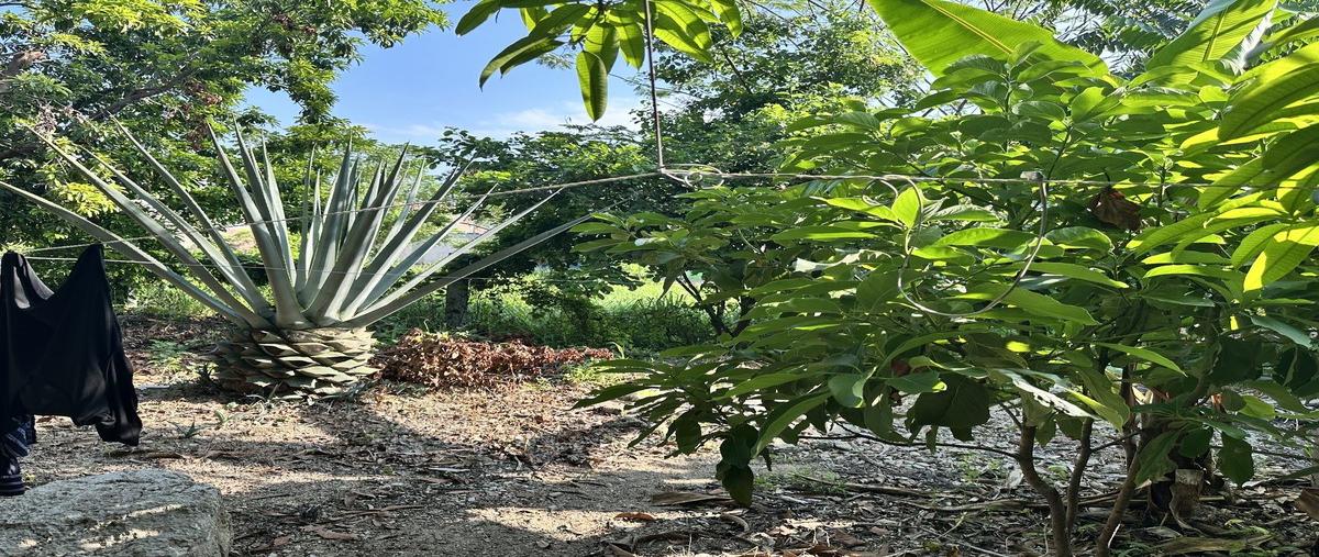 Foto de terreno habitacional en venta en  , lomas de mactumatza, tuxtla gutiérrez, chiapas, 30177619 No. 05