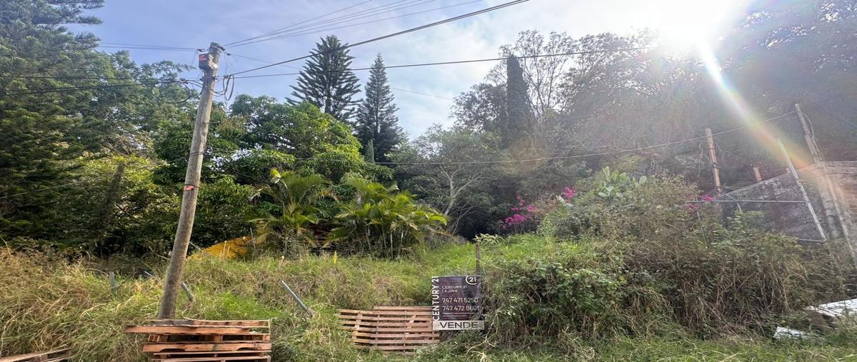 Foto de terreno habitacional en venta en  , lomas de ocotepec, chilpancingo de los bravo, guerrero, 0 No. 03