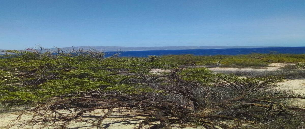 Foto de terreno habitacional en venta en  , lomas de palmira, la paz, baja california sur, 0 No. 05