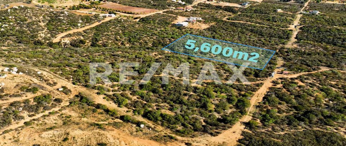 Foto de terreno habitacional en venta en lomas de san antonio , lomas de san antonio, ensenada, baja california, 30357552 No. 03