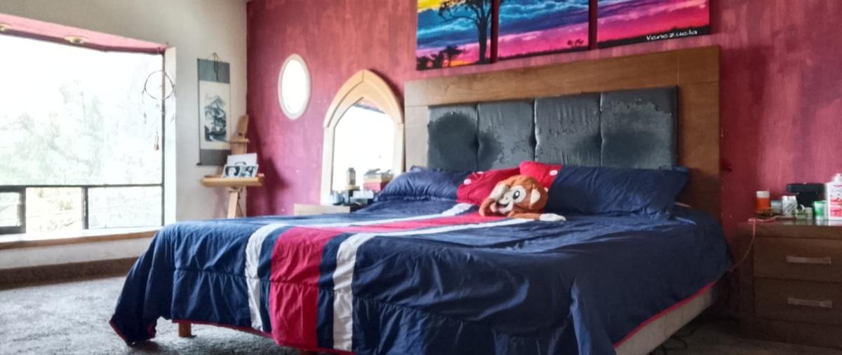 Foto de casa en venta en  , lomas de san mateo, naucalpan de juárez, méxico, 0 No. 04