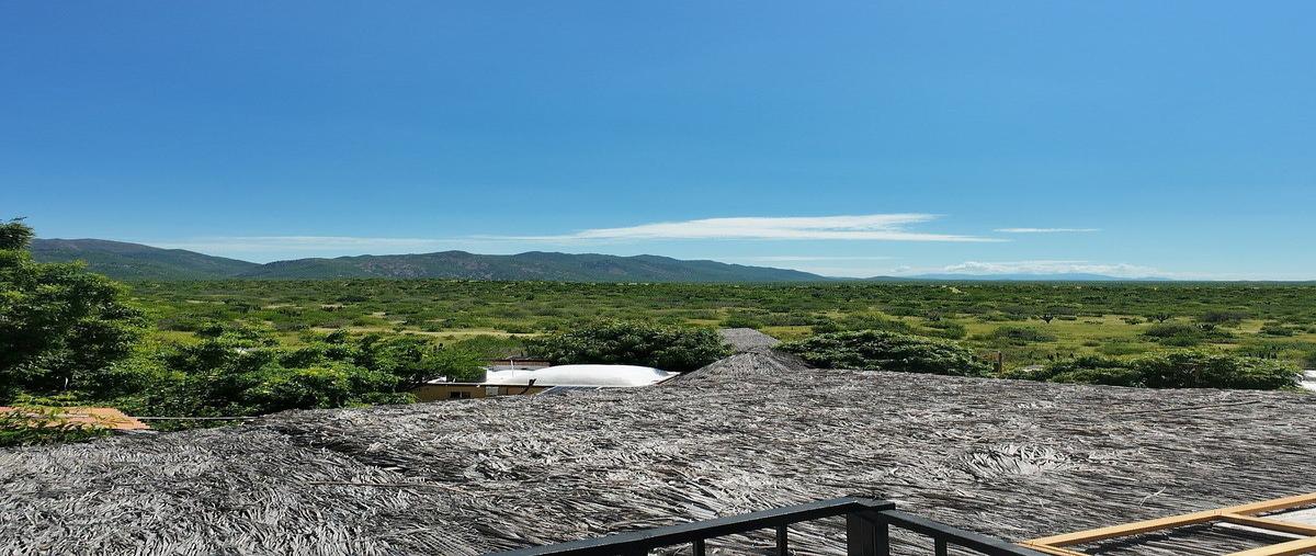 Foto de rancho en venta en lomas de san pedro , ayuntamiento, la paz, baja california sur, 30889226 No. 05