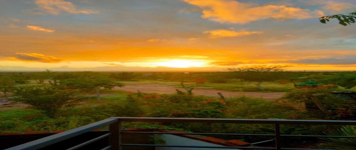 Foto de rancho en venta en lomas de san pedro , ayuntamiento, la paz, baja california sur, 30889230 No. 04