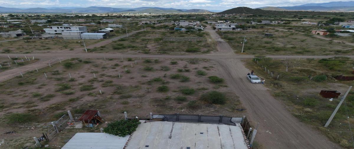 Foto de terreno habitacional en venta en  , lomas de santa ana, tlacolula de matamoros, oaxaca, 0 No. 03