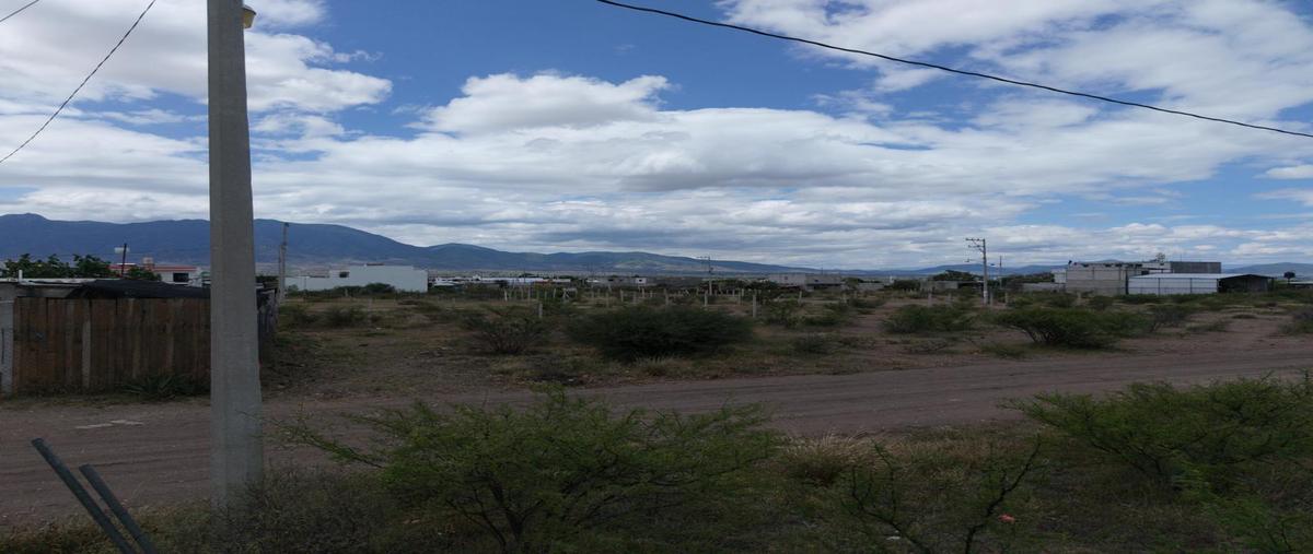 Foto de terreno habitacional en venta en  , lomas de santa ana, tlacolula de matamoros, oaxaca, 0 No. 04