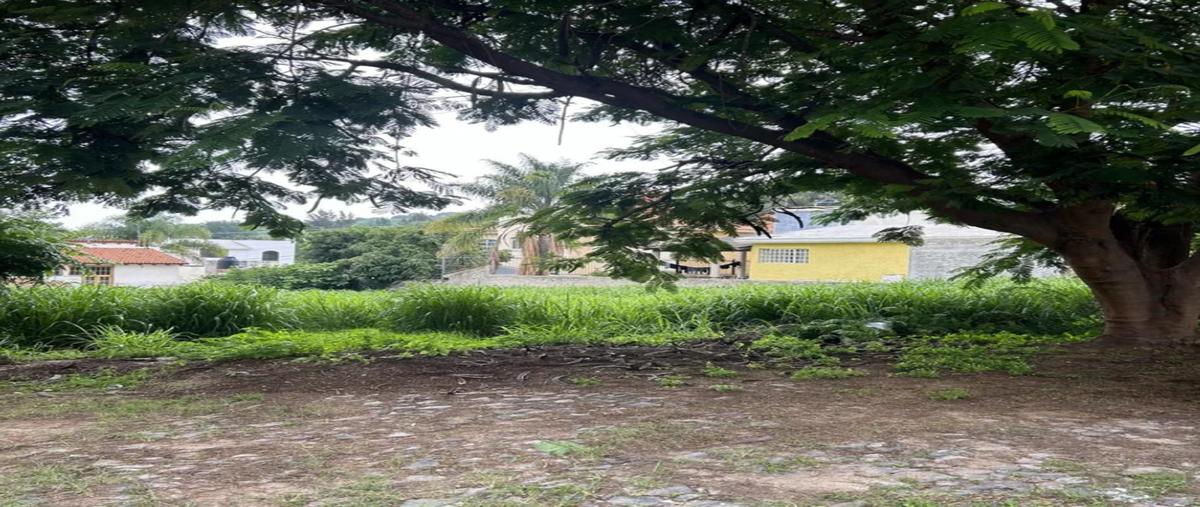 Foto de terreno industrial en venta en lomas de santa anita , colinas de santa anita, tlajomulco de zúñiga, jalisco, 28588287 No. 06