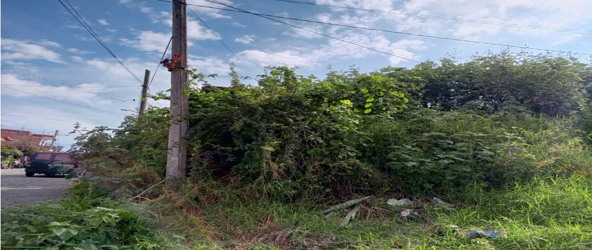 Foto de terreno habitacional en venta en  , lomas de santiaguito, sahuayo, michoacán de ocampo, 0 No. 04