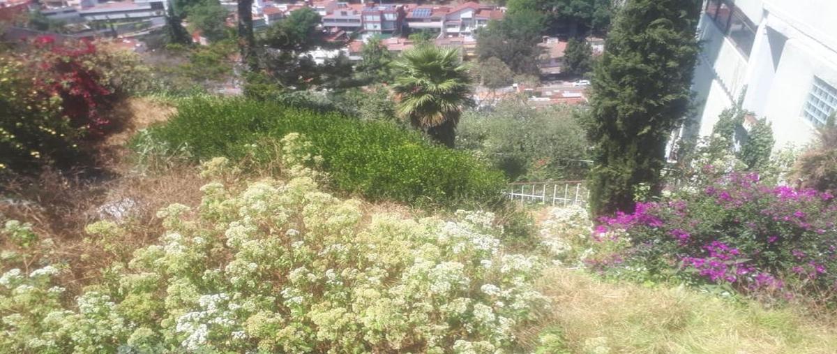 Foto de terreno habitacional en venta en  , lomas de tecamachalco, naucalpan de juárez, méxico, 29387862 No. 05