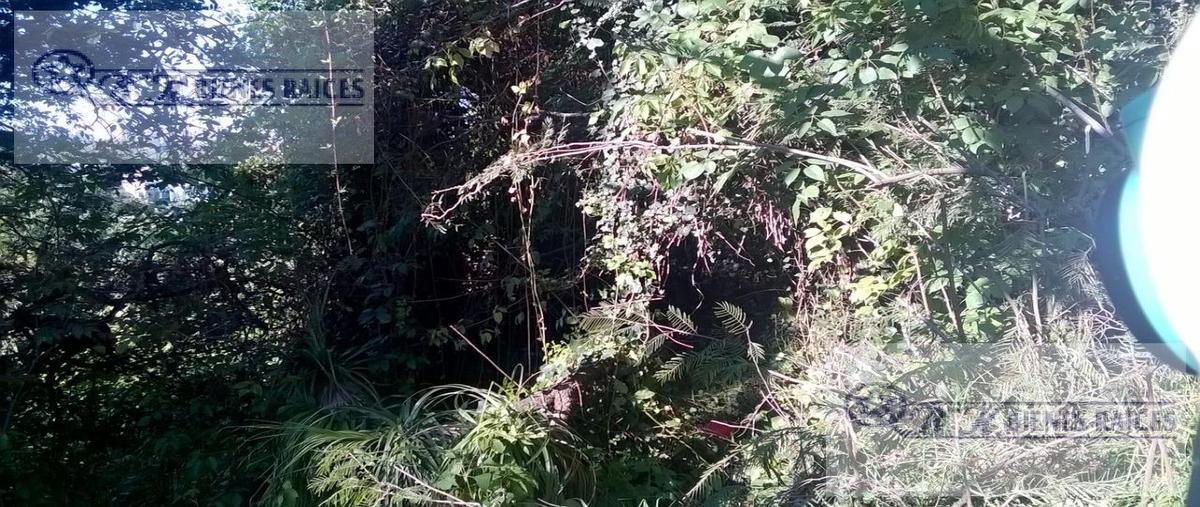 Foto de terreno habitacional en venta en  , lomas de tecamachalco sección bosques i y ii, huixquilucan, méxico, 0 No. 03