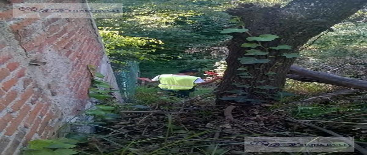 Foto de terreno habitacional en venta en  , lomas de tecamachalco sección bosques i y ii, huixquilucan, méxico, 0 No. 04