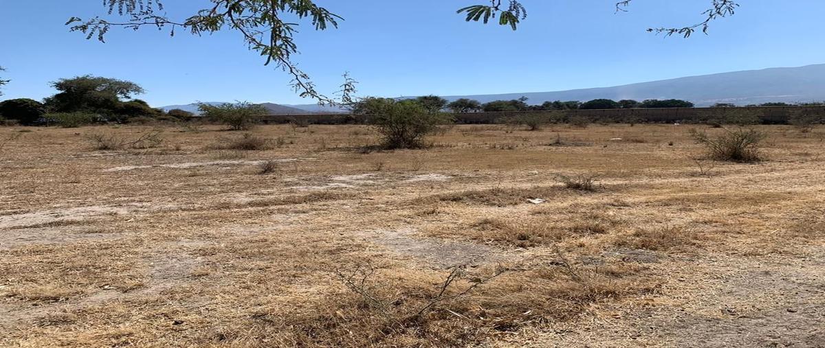Foto de terreno habitacional en venta en  , lomas de tejeda, tlajomulco de zúñiga, jalisco, 27514289 No. 03
