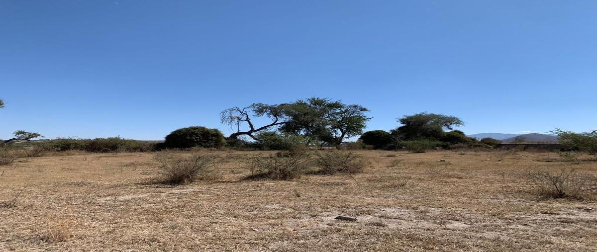 Foto de terreno habitacional en venta en  , lomas de tejeda, tlajomulco de zúñiga, jalisco, 27514289 No. 04