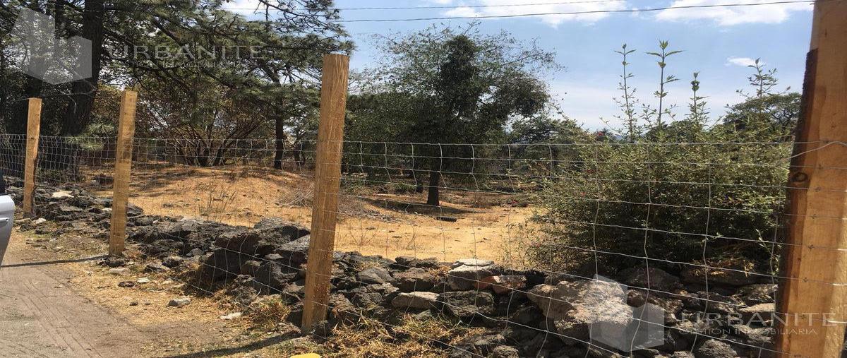 Foto de terreno habitacional en venta en  , lomas de tepemecatl, tlalpan, df / cdmx, 26405834 No. 05