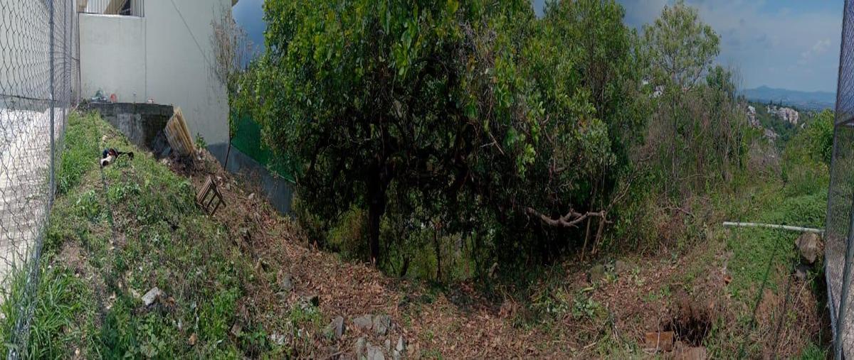 Foto de terreno habitacional en venta en  , lomas de tetela, cuernavaca, morelos, 0 No. 05
