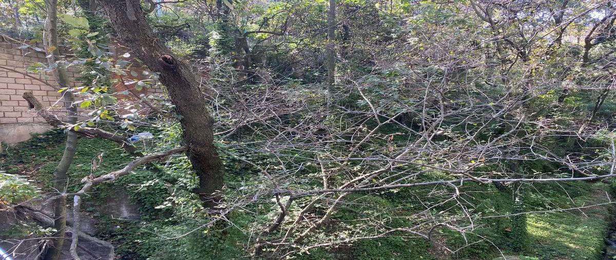 Foto de terreno habitacional en venta en lomas de tlapexco , lomas de vista hermosa, cuajimalpa de morelos, df / cdmx, 30365794 No. 03