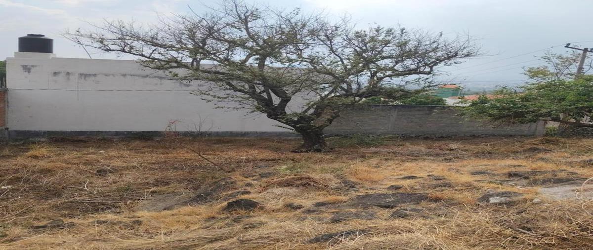 Foto de terreno habitacional en venta en  , lomas de trujillo, emiliano zapata, morelos, 29958821 No. 03