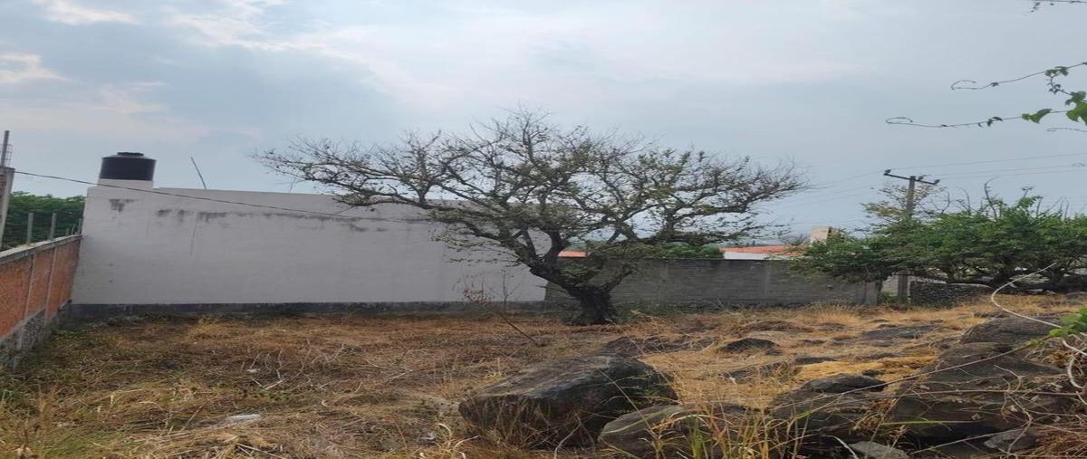 Foto de terreno habitacional en venta en  , lomas de trujillo, emiliano zapata, morelos, 29958821 No. 05