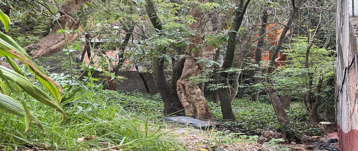 Foto de terreno habitacional en , lomas de vista hermosa, cuajimalpa de morelos, df / cdmx, 0 foto 03 Foto de terreno habitacional en venta en , lomas de vista hermosa, cuajimalpa de morelos, df / cdmx, 0 No. 03