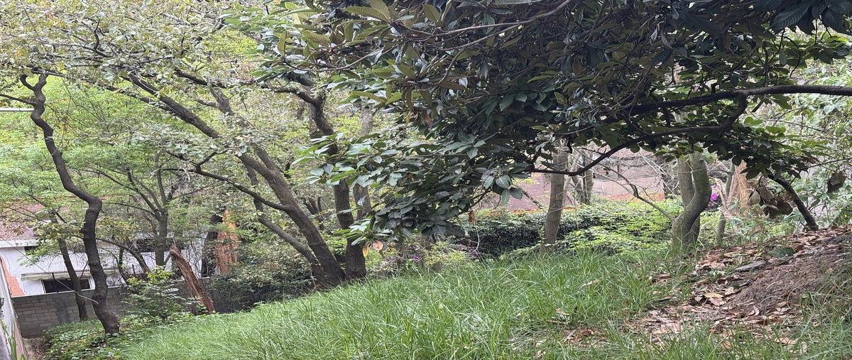 Foto de terreno habitacional en , lomas de vista hermosa, cuajimalpa de morelos, df / cdmx, 0 foto 04 Foto de terreno habitacional en venta en , lomas de vista hermosa, cuajimalpa de morelos, df / cdmx, 0 No. 04