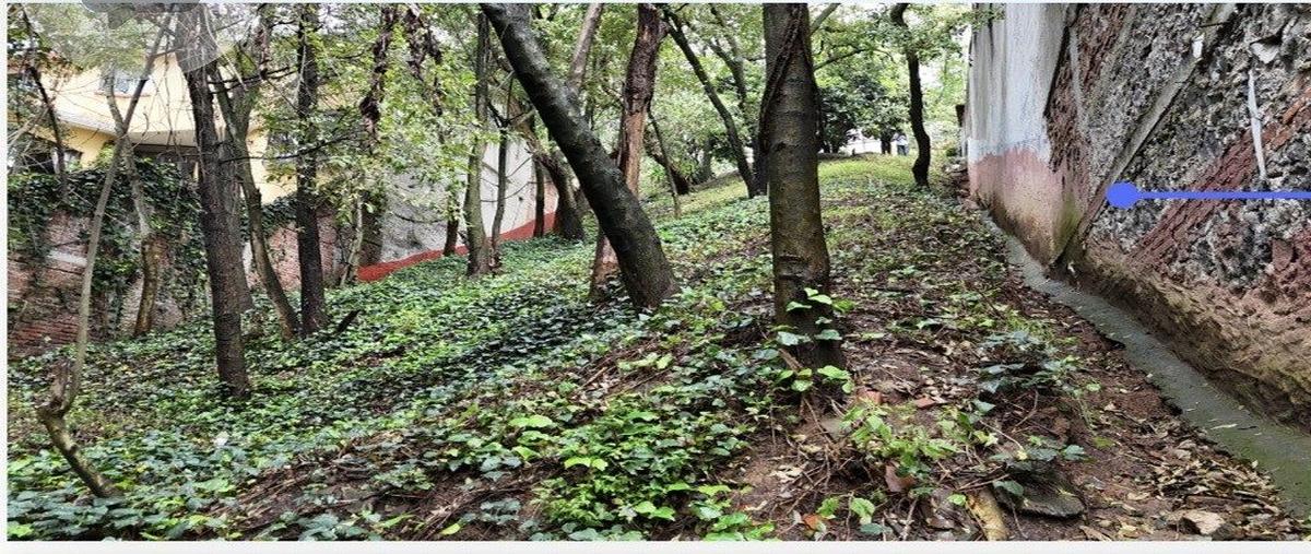 Foto de terreno habitacional en , lomas de vista hermosa, cuajimalpa de morelos, df / cdmx, 0 foto 05 Foto de terreno habitacional en venta en , lomas de vista hermosa, cuajimalpa de morelos, df / cdmx, 0 No. 05