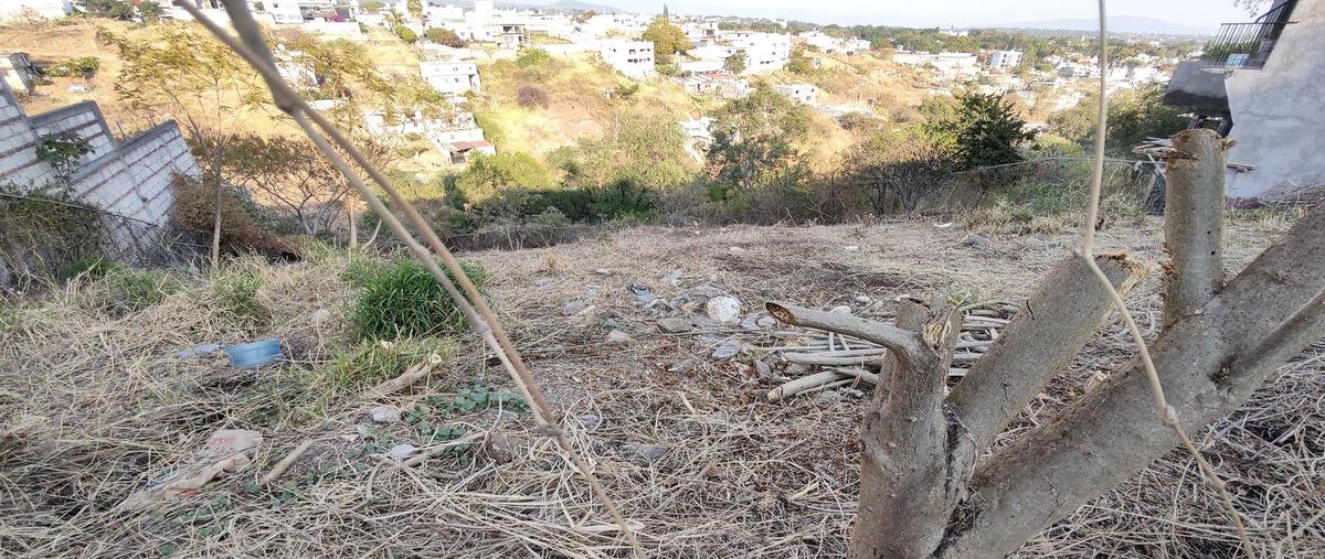 Foto de terreno habitacional en venta en  , lomas de zompantle, cuernavaca, morelos, 0 No. 03