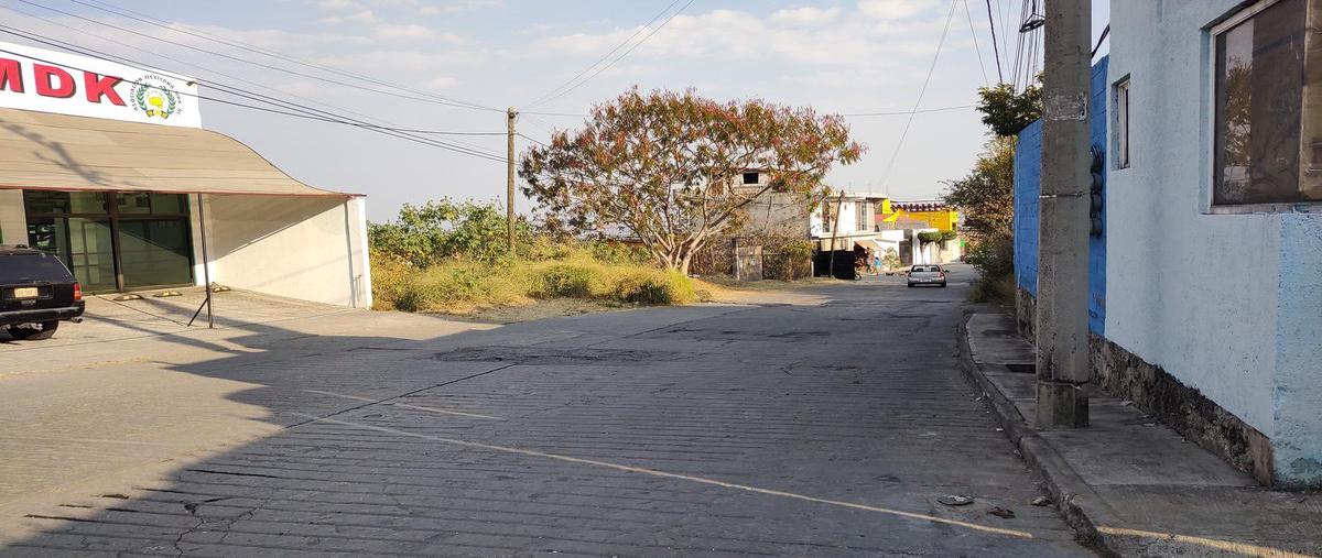 Foto de terreno habitacional en venta en  , lomas de zompantle, cuernavaca, morelos, 0 No. 04