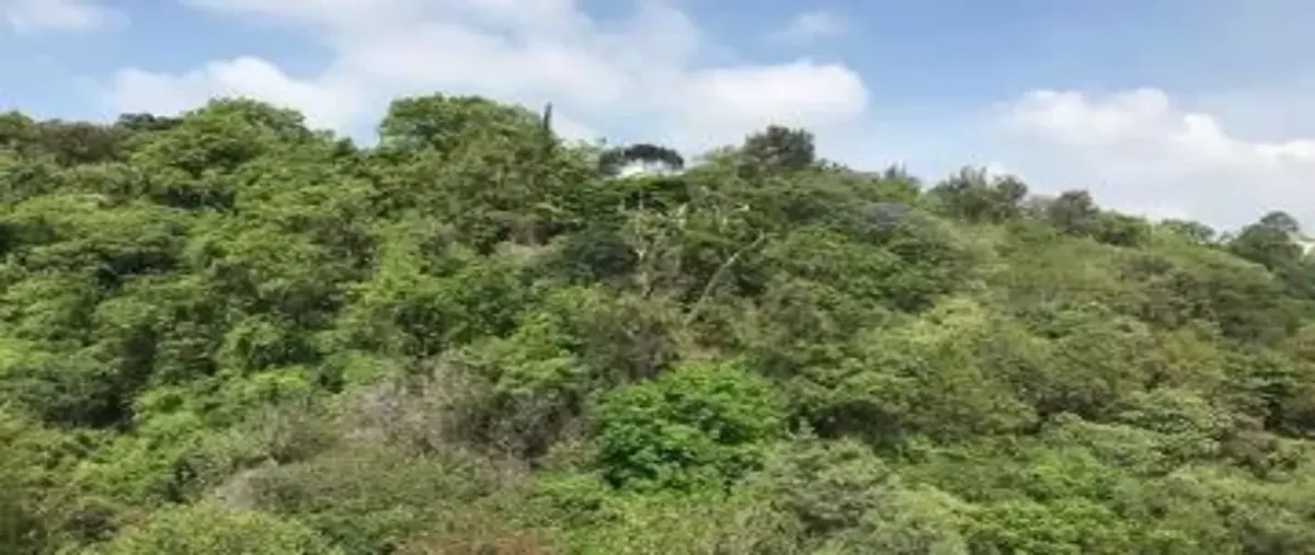 Foto de terreno habitacional en venta en  , lomas de zompantle, cuernavaca, morelos, 30359521 No. 02