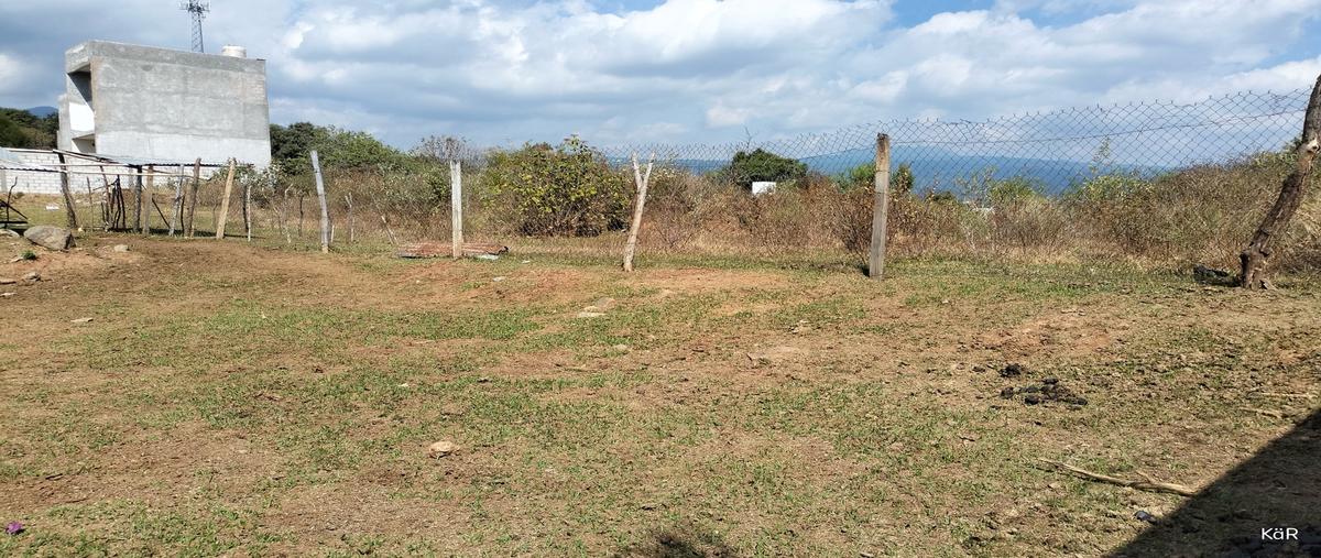 Foto de terreno habitacional en venta en  , lomas de zompantle, cuernavaca, morelos, 0 No. 03