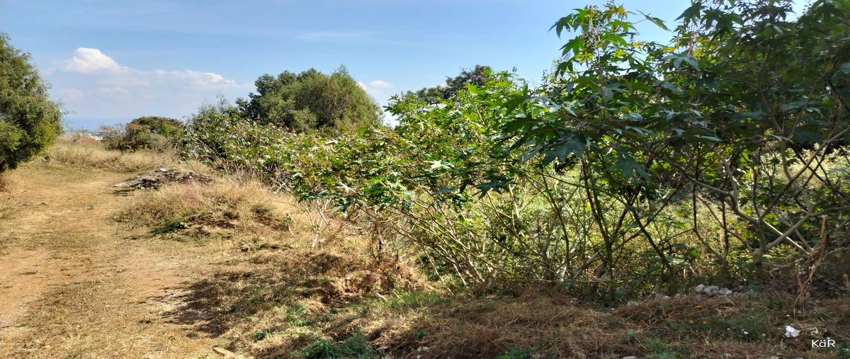 Foto de terreno habitacional en venta en  , lomas de zompantle, cuernavaca, morelos, 0 No. 05