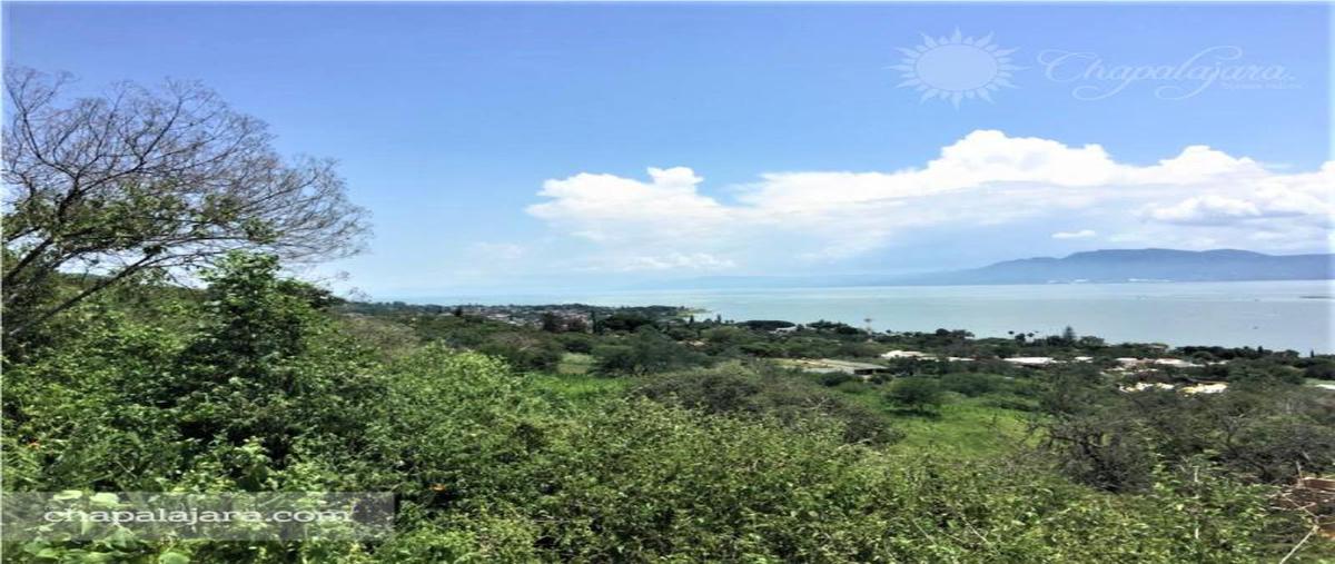 Foto de terreno habitacional en venta en lomas del camino al limón 0, san juan cosala, jocotepec, jalisco, 8288524 No. 05