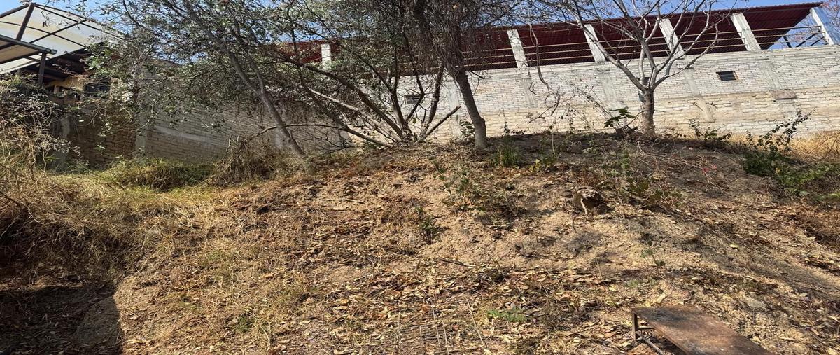 Foto de terreno habitacional en venta en  , lomas del creston, oaxaca de juárez, oaxaca, 0 No. 05