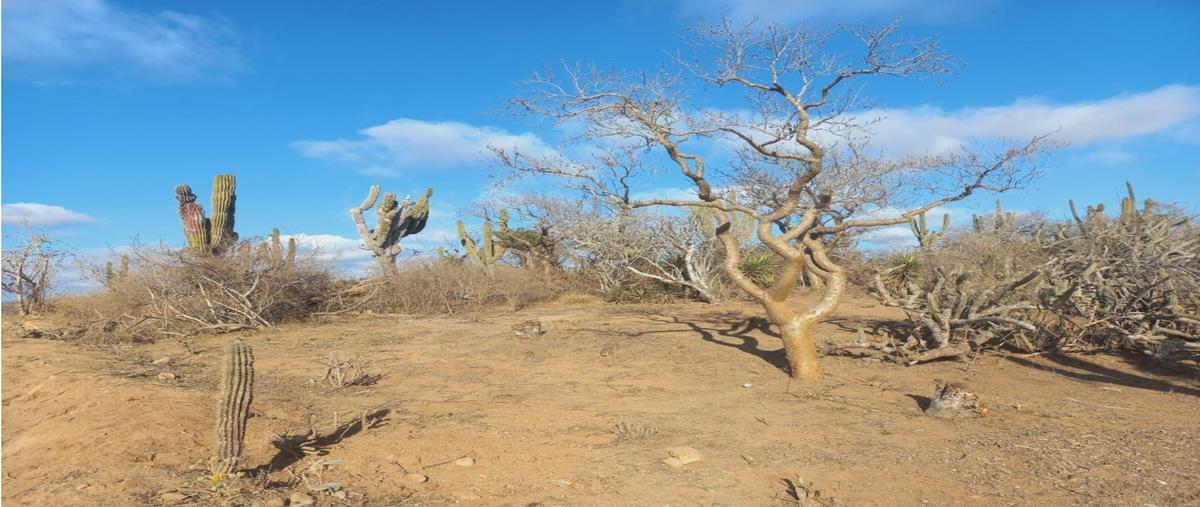 Foto de terreno habitacional en , lomas del pacifico, los cabos, baja california sur, 0 foto 03 Foto de terreno habitacional en venta en , lomas del pacifico, los cabos, baja california sur, 0 No. 03