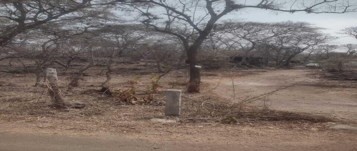 Foto de terreno habitacional en lomas del pedregal , civac, jiutepec, morelos, 0 foto 01 Foto de terreno habitacional en venta en lomas del pedregal , civac, jiutepec, morelos, 0 No. 01