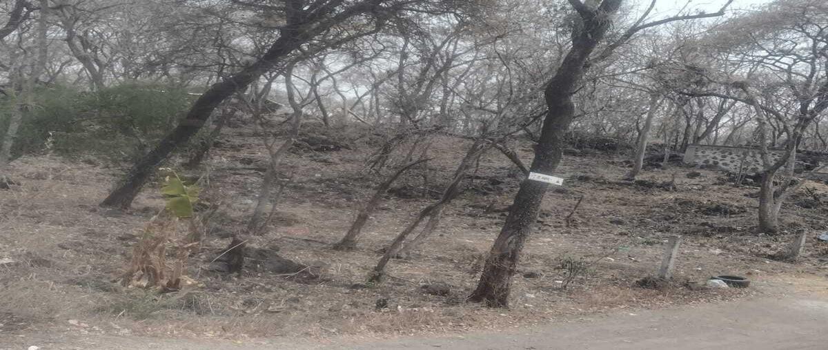 Foto de terreno habitacional en lomas del pedregal , civac, jiutepec, morelos, 0 foto 03 Foto de terreno habitacional en venta en lomas del pedregal , civac, jiutepec, morelos, 0 No. 03