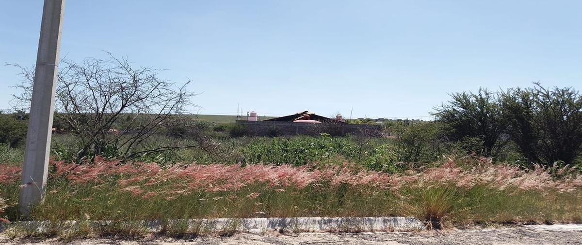 Foto de terreno habitacional en venta en lomas del sauce 19-20, santa ana ac, león, guanajuato, 0 No. 03
