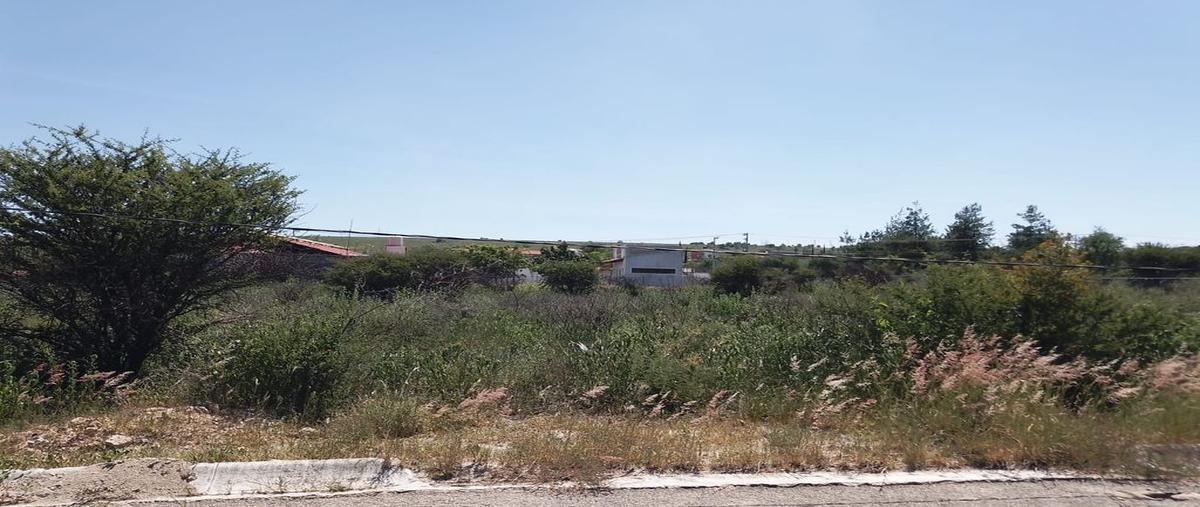 Foto de terreno habitacional en venta en lomas del sauce 19-20, santa ana ac, león, guanajuato, 0 No. 05