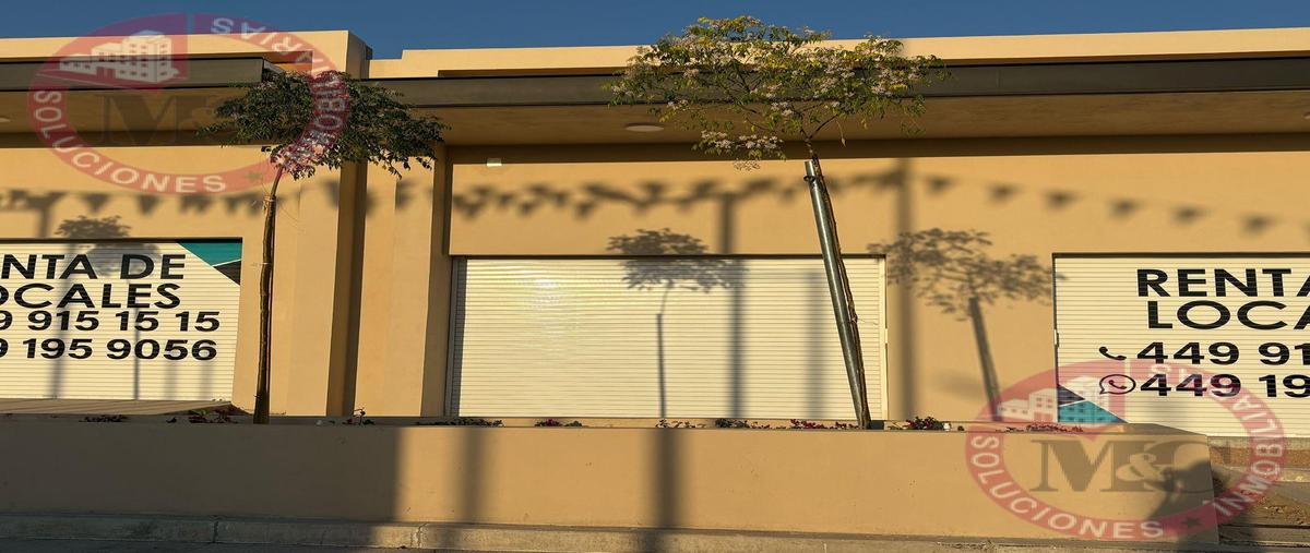 Foto de local en renta en  , lomas del sur, aguascalientes, aguascalientes, 0 No. 03