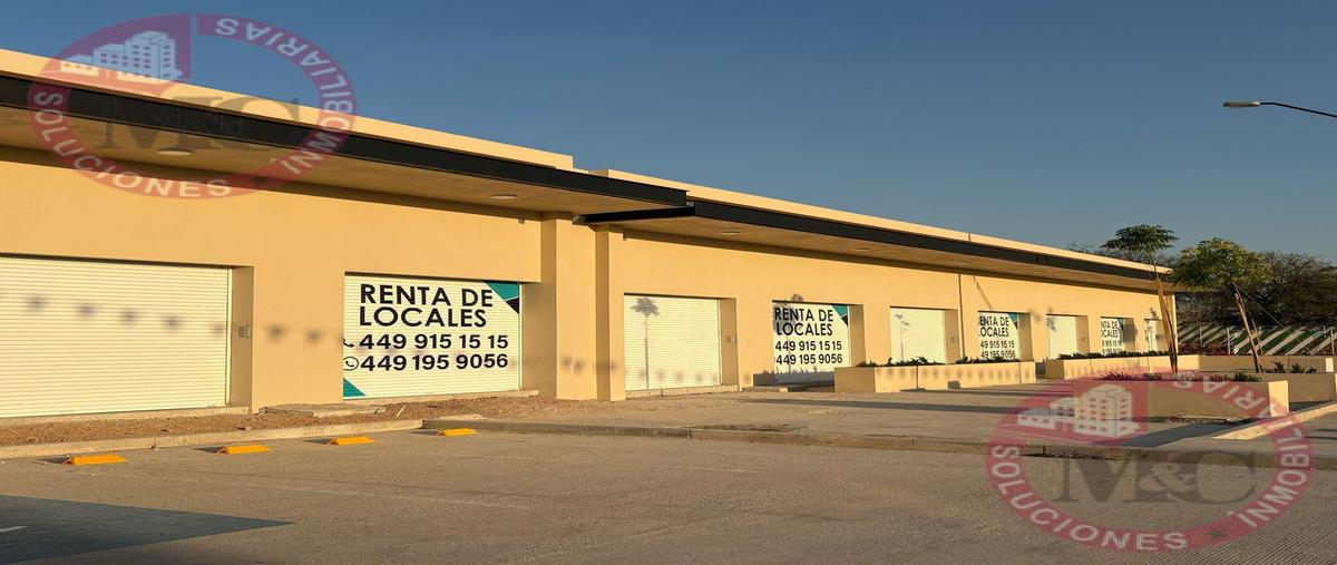 Foto de local en renta en  , lomas del sur, aguascalientes, aguascalientes, 0 No. 04