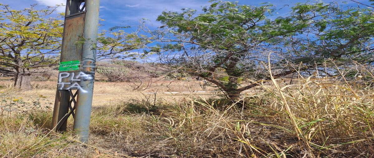 Foto de terreno habitacional en lomas del sur , campestre lomas del sur, romita, guanajuato, 0 foto 04 Foto de terreno habitacional en venta en lomas del sur , campestre lomas del sur, romita, guanajuato, 0 No. 04