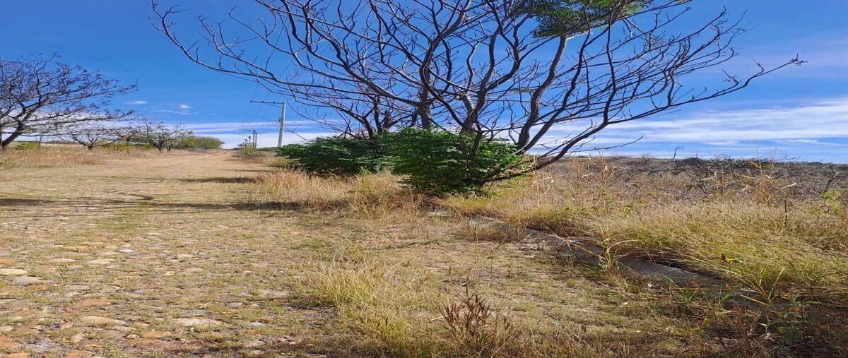 Foto de terreno habitacional en lomas del sur , campestre lomas del sur, romita, guanajuato, 0 foto 05 Foto de terreno habitacional en venta en lomas del sur , campestre lomas del sur, romita, guanajuato, 0 No. 05