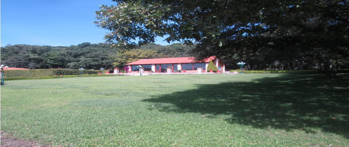 Foto de terreno habitacional en venta en  , lomas flor del bosque, puebla, puebla, 0 No. 05