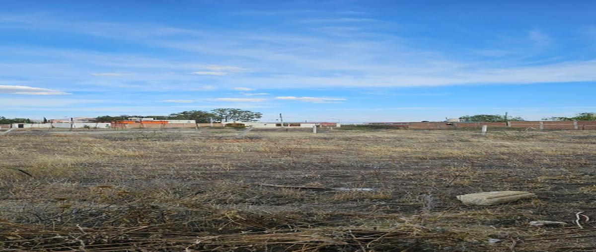 Foto de terreno habitacional en venta en lomas , lomas de cervera, guanajuato, guanajuato, 27333130 No. 04