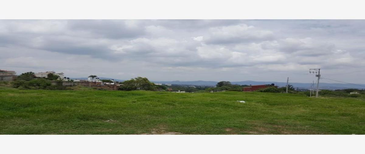Foto de terreno comercial en renta en lomas tzompantle 1, lomas de zompantle, cuernavaca, morelos, 0 No. 05