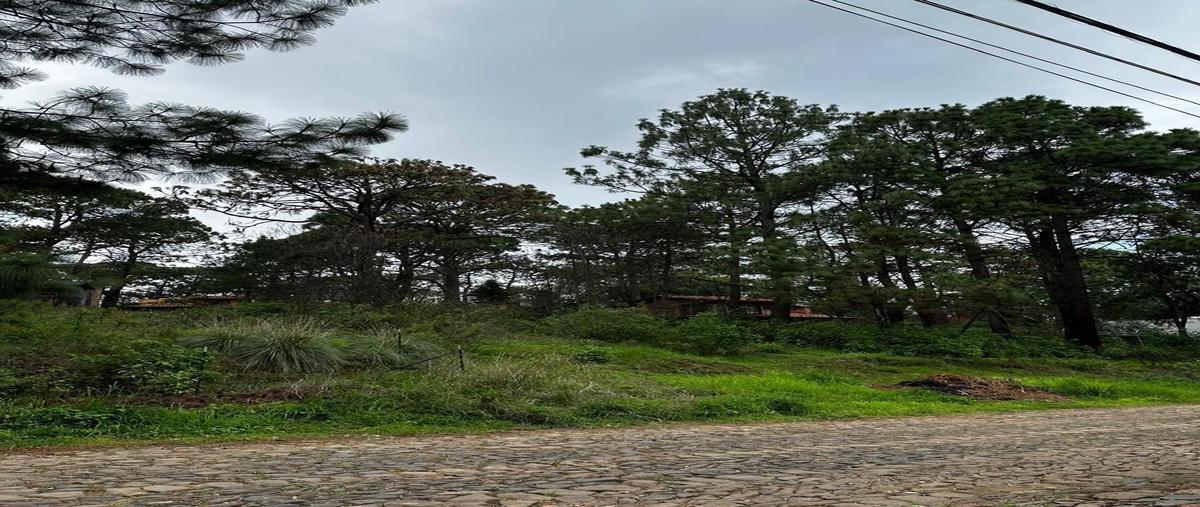 Foto de terreno habitacional en lomas verdes , mazamitla, mazamitla, jalisco, 0 foto 04 Foto de terreno habitacional en venta en lomas verdes , mazamitla, mazamitla, jalisco, 0 No. 04