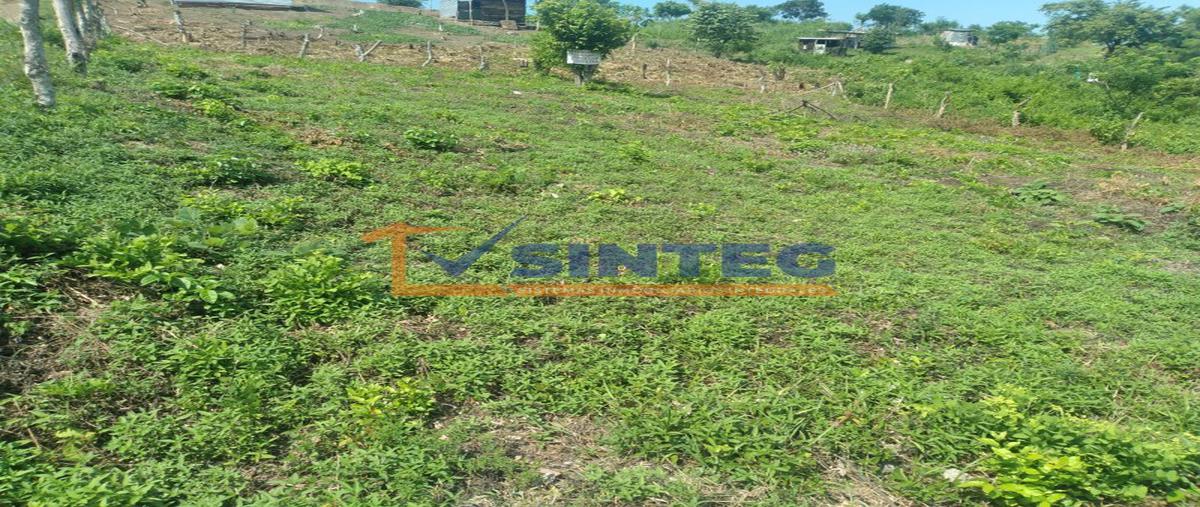 Foto de terreno habitacional en venta en  , lomas verdes, poza rica de hidalgo, veracruz de ignacio de la llave, 0 No. 04