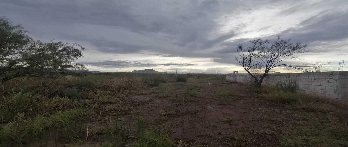 Foto de terreno habitacional en venta en lombardo toledano , sierra azul, chihuahua, chihuahua, 28526261 No. 04